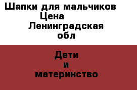 Шапки для мальчиков  › Цена ­ 500 - Ленинградская обл. Дети и материнство » Детская одежда и обувь   